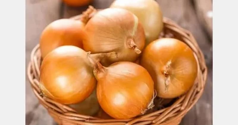 تصویر 4 از پیاز تند با عطر و تندی مشخص برای طعم‌ دهی قوی